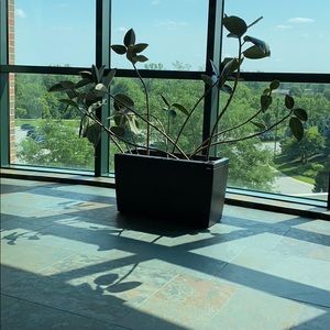 Meet your Posher, Marjorie